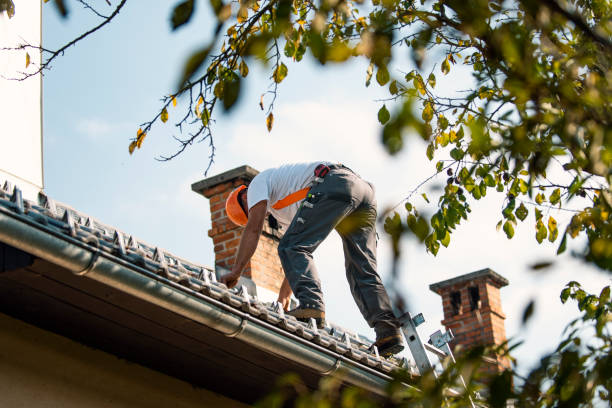 Best Commercial Roofing Services  in River Falls, WI