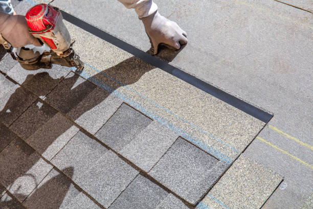 Best Metal Roofing Contractor  in River Falls, WI