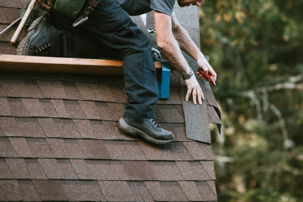 Best Roof Gutter Cleaning  in River Falls, WI